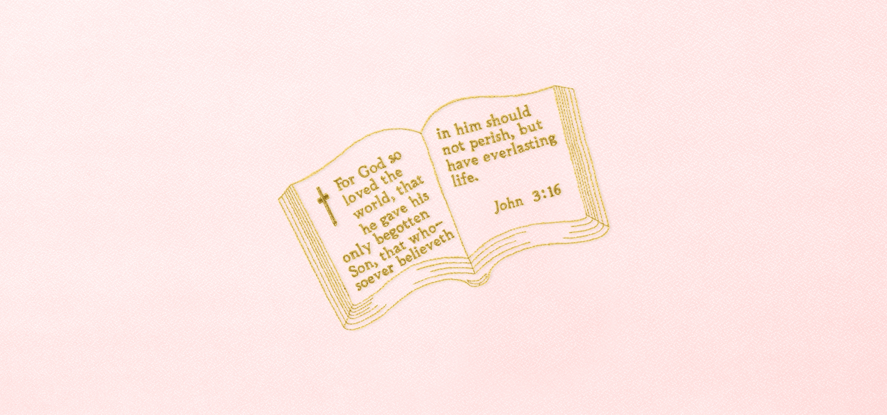 P 515 PK Bible John 3 16 Pink Faux